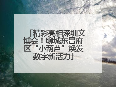 精彩亮相深圳文博会！聊城东昌府区“小葫芦”焕发数字新活力